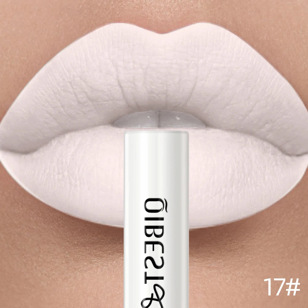 QIBEST Velvet Matte Liquid Lipstick — Shade 24